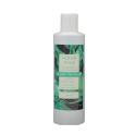 I53 |scrub viso 250ml FRESCO (prof. Menta Acquatica)